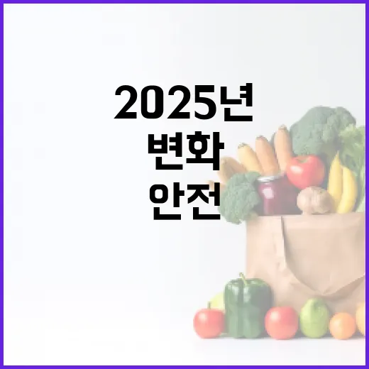 안전함 2025년 모든 변화를 가져옵니다!