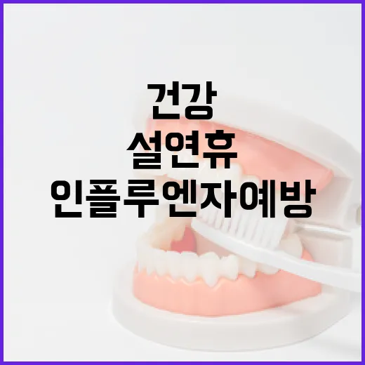 인플루엔자 예방 설 연휴 건강을 지키세요!