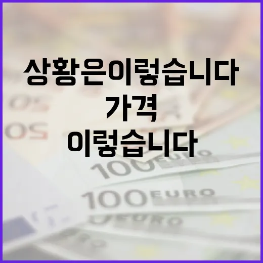 꽃 가격 안정성! 올해 초 상황은 이렇습니다.