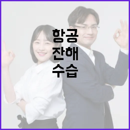 제주항공 잔해 수습 완료 18일 추모식 진행!