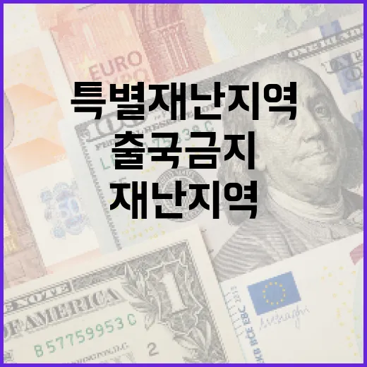 특별재난지역 체납자…