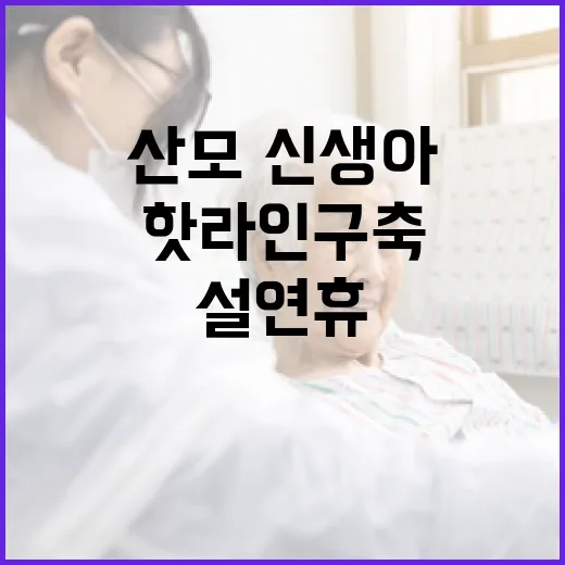 비상응급의료 설 연…