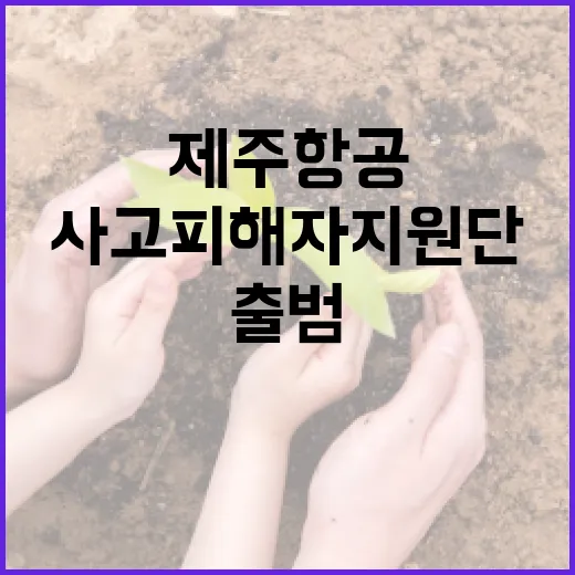 제주항공 사고 피해…