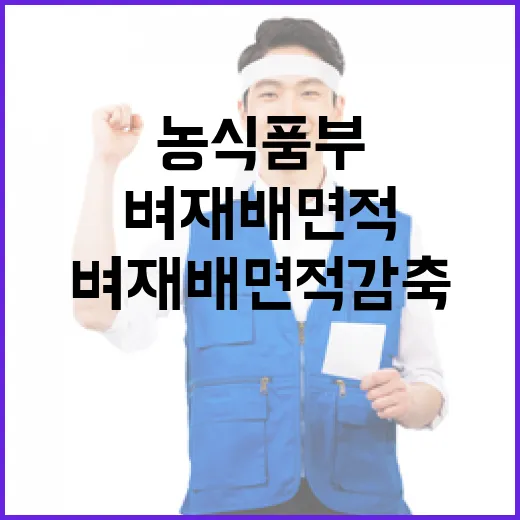 농식품부 벼 재배 면적 감축 통지 사실무근