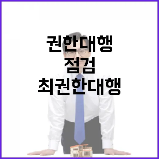 행정명령 점검 최 권한대행 파급효과 큰 사안