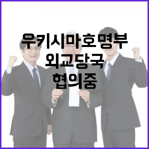 우키시마호 명부 외교당국 협의 중 사실은 이렇습니다!