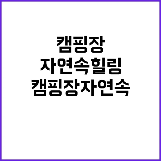 항상 Village 캠핑장