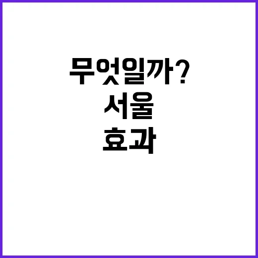 서울 파티 경제 효…