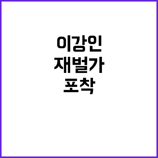 이강인 재벌가 여성…