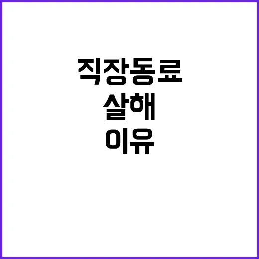 살해 사건 직장 동…