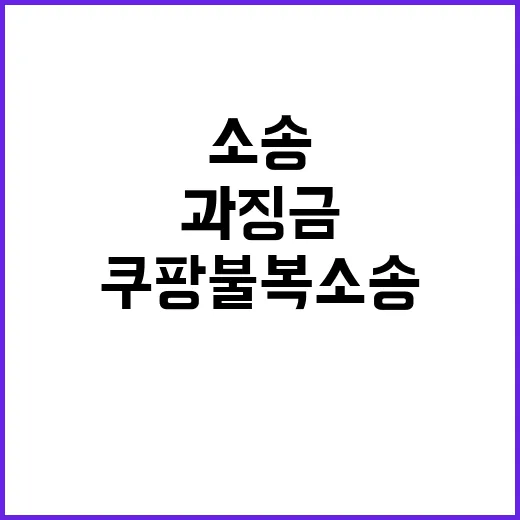 1628억 과징금 쿠팡 불복소송의 뒤편 이야기 공개!