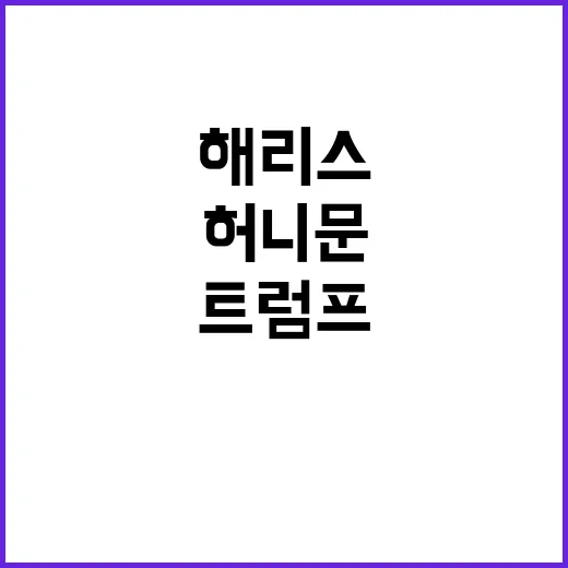 해리스 상승세 주춤 트럼프 허니문 효과 종료?