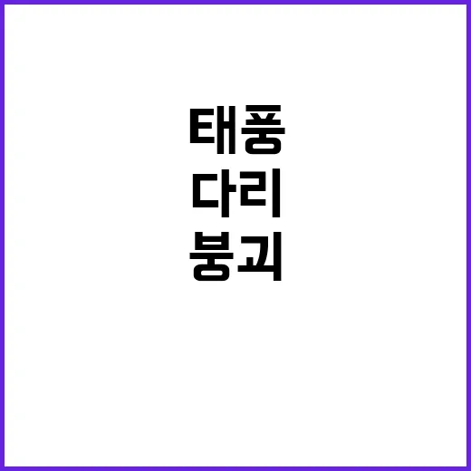 붕괴된 다리 트럭과 함께 태풍 피해 86명!