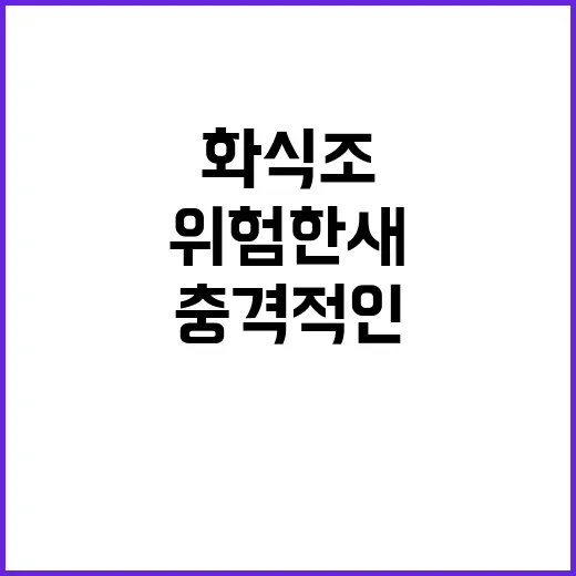 위험한 새 화식조의…