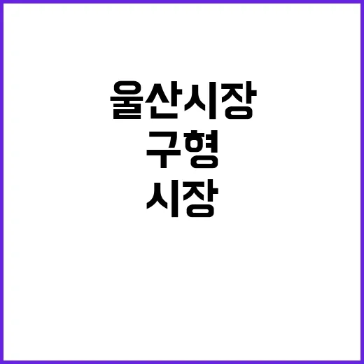 울산시장 징역형 구…