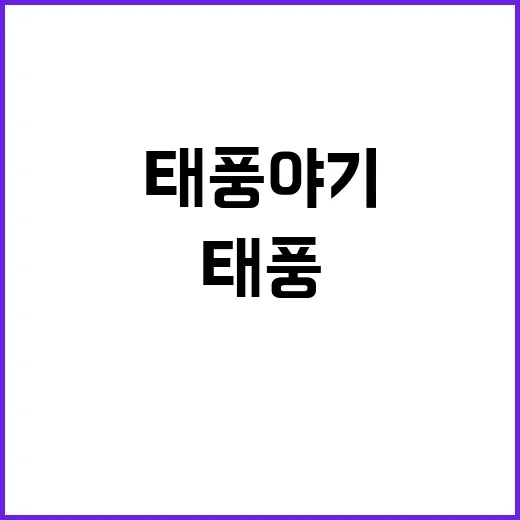 태풍 야기 사망자 …