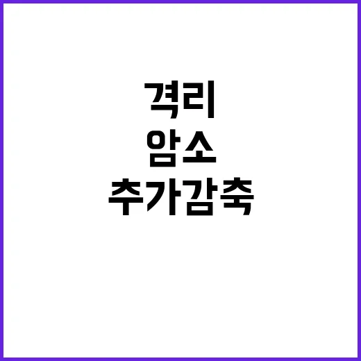 밥쌀 면적 즉시 격…