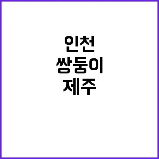 “조산 위험” 쌍둥…