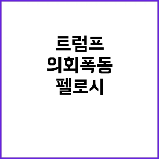 트럼프 의회 폭동 …