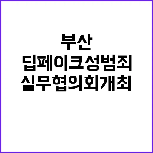 딥페이크 성범죄 부산에서 수사실무협의회 개최!