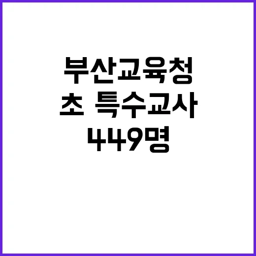 부산교육청 449명 초·특수교사 대규모 선발!