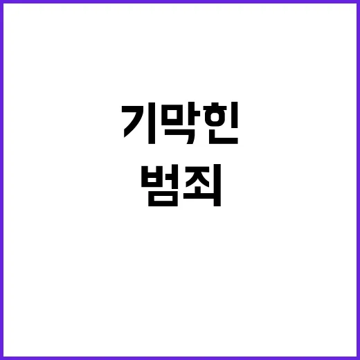 마약 범죄 임신부의…