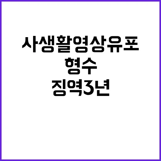 사생활 영상 유포 …