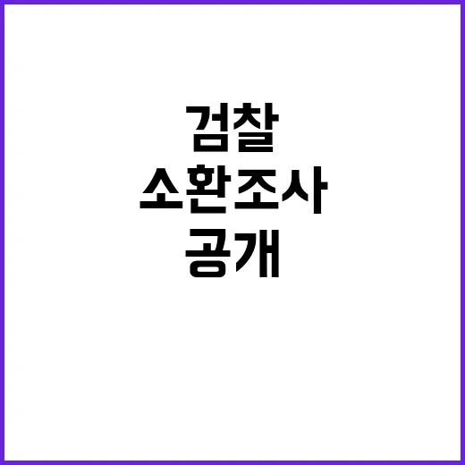 검찰 최은순 비공식…