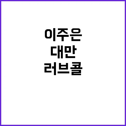 돈 대만의 이주은에…