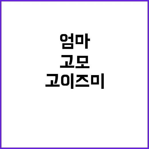 고이즈미 엄마 아닌…