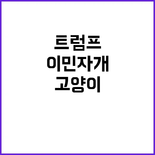 이원석 퇴임 검찰 …