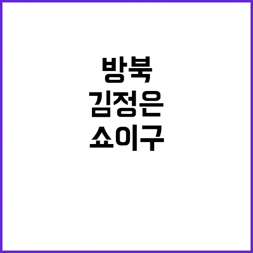 김정은 방북 쇼이구…