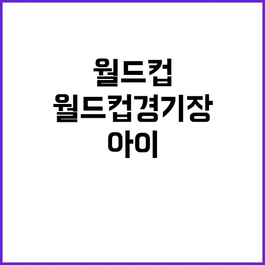 월드컵경기장 잔디 …