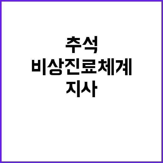 추석 비상진료체계 …