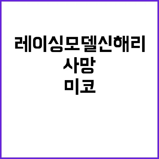 미코 레이싱모델 신…