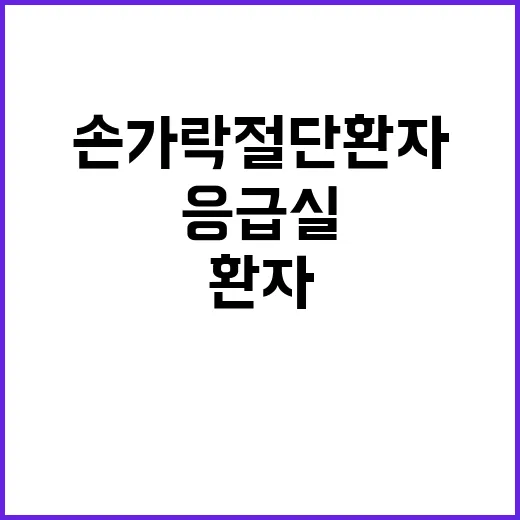 응급실 대소동 손가…