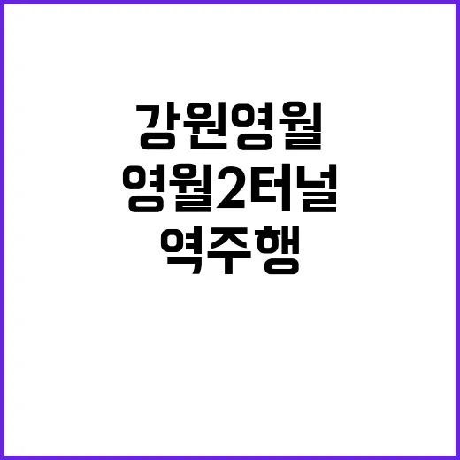 강원 영월2터널 차량 역주행 참변 발생!