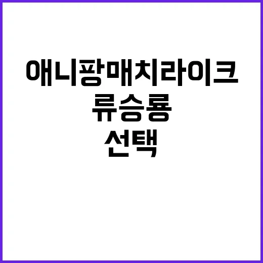 류승룡 애니팡 매치…