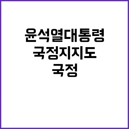 국정 지지도 윤석열 대통령의 미래는?