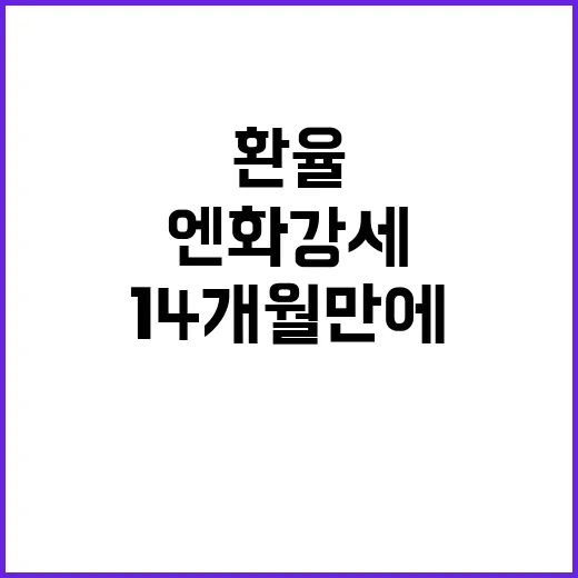 환율 변화 14개월…