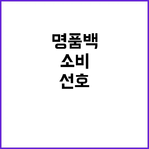 명품백 소비 증가 불황에도 고액 사치품 선호!