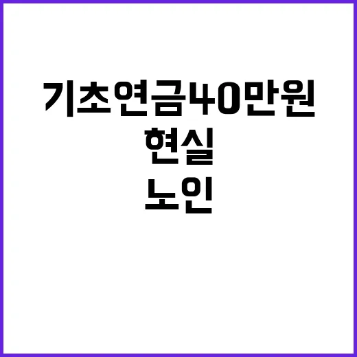 기초연금 40만원 노인들 전액 지급 불가 현실!