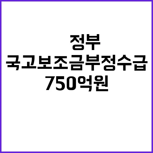 국고보조금 부정수급 尹정부 750억 원 충격!