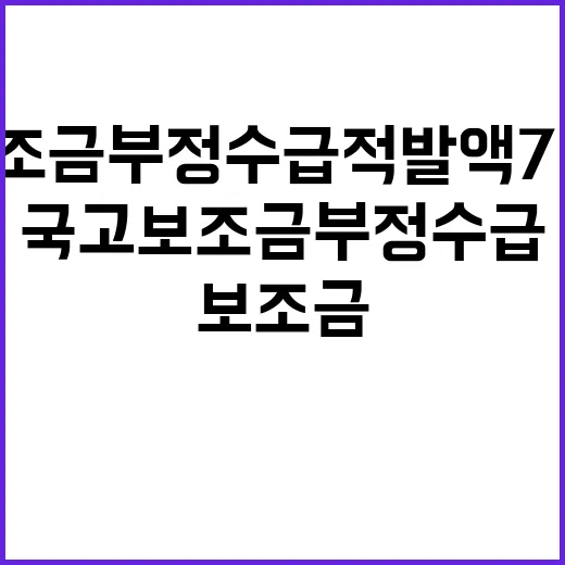 국고보조금 부정수급 적발액 750억원 충격 사실!