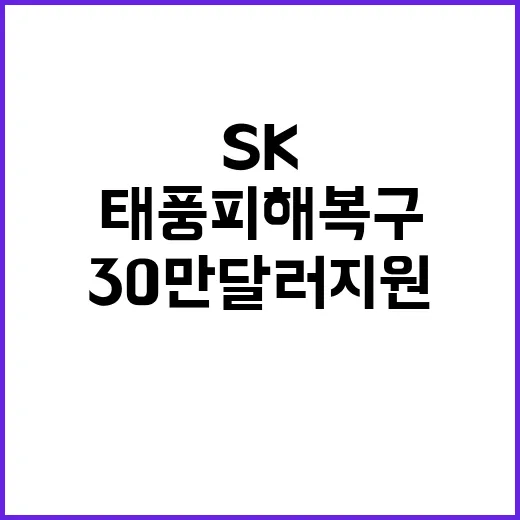 SK그룹 태풍 피해 복구 위해 30만 달러 지원!