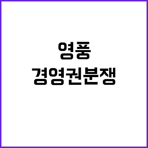 경영권분쟁 드림팀의 영풍 MBK의 등장!