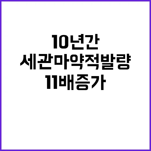 세관 마약 적발량 10년간 11배 증가!