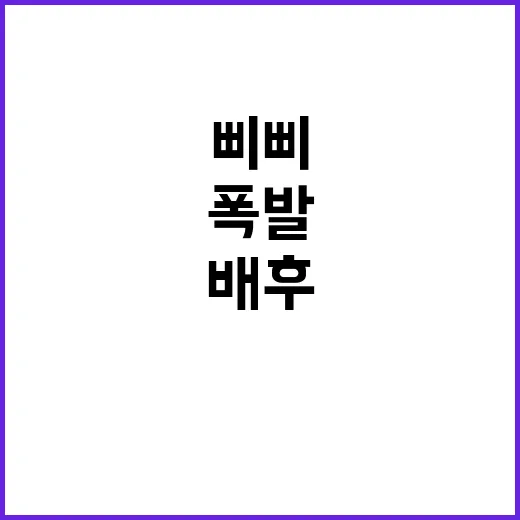 삐삐 수천대 폭발……