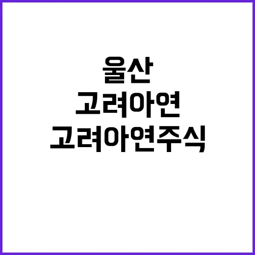 고려아연 주식 울산…