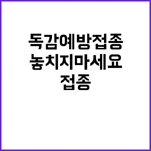 독감 예방 접종 해…